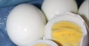 836112449 122209553570944864 8459032054299217707 n