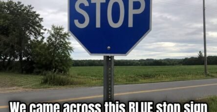 836438569 3584274891730436 8484433415858647485 n