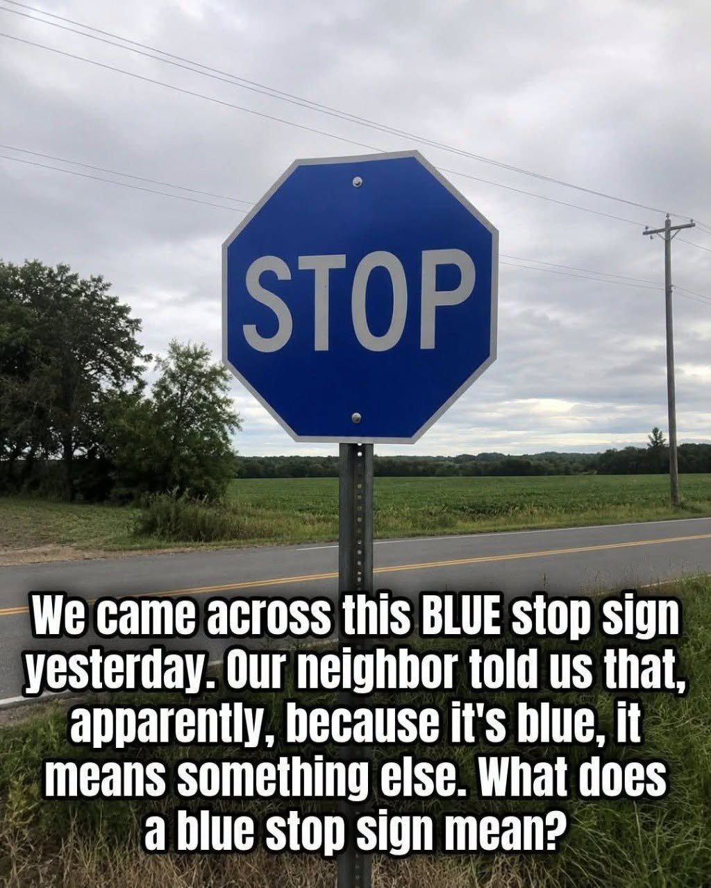 836438569 3584274891730436 8484433415858647485 n