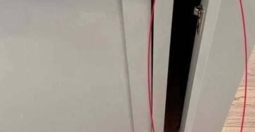 841084147 3584400008384591 1889702364345225743 n