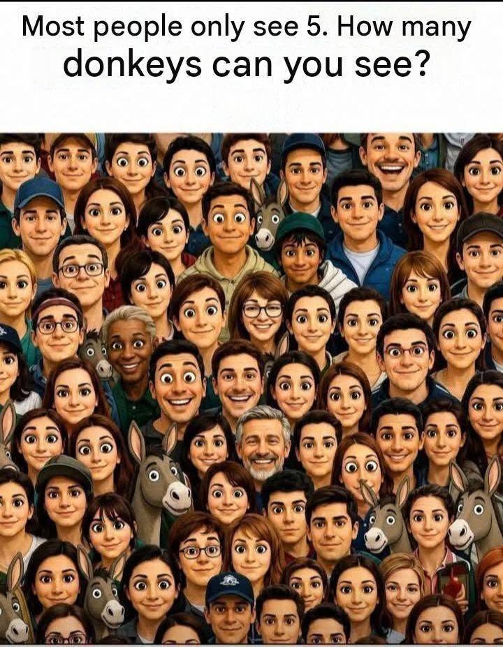 847917375 122093950407520462 6307125258093258586 n